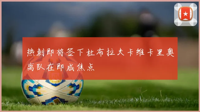 热刺即将签下杜布拉夫卡维卡里奥离队在即成焦点