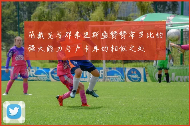 范戴克与邓弗里斯盛赞赞布罗比的强大能力与卢卡库的相似之处