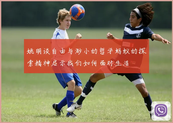 姚明谈自由与渺小的哲学蚂蚁的探索精神启示我们如何面对生活